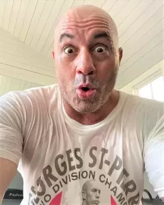 Joe Rogan covid