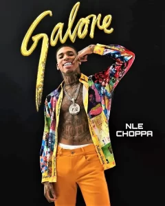 NLE Choppa photos