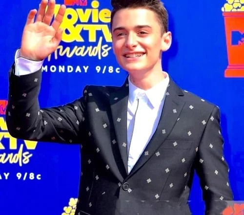 Noah Schnapp Height, Age, Religion, Girlfriend, Wiki & Net Worth