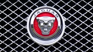 jaguar logo